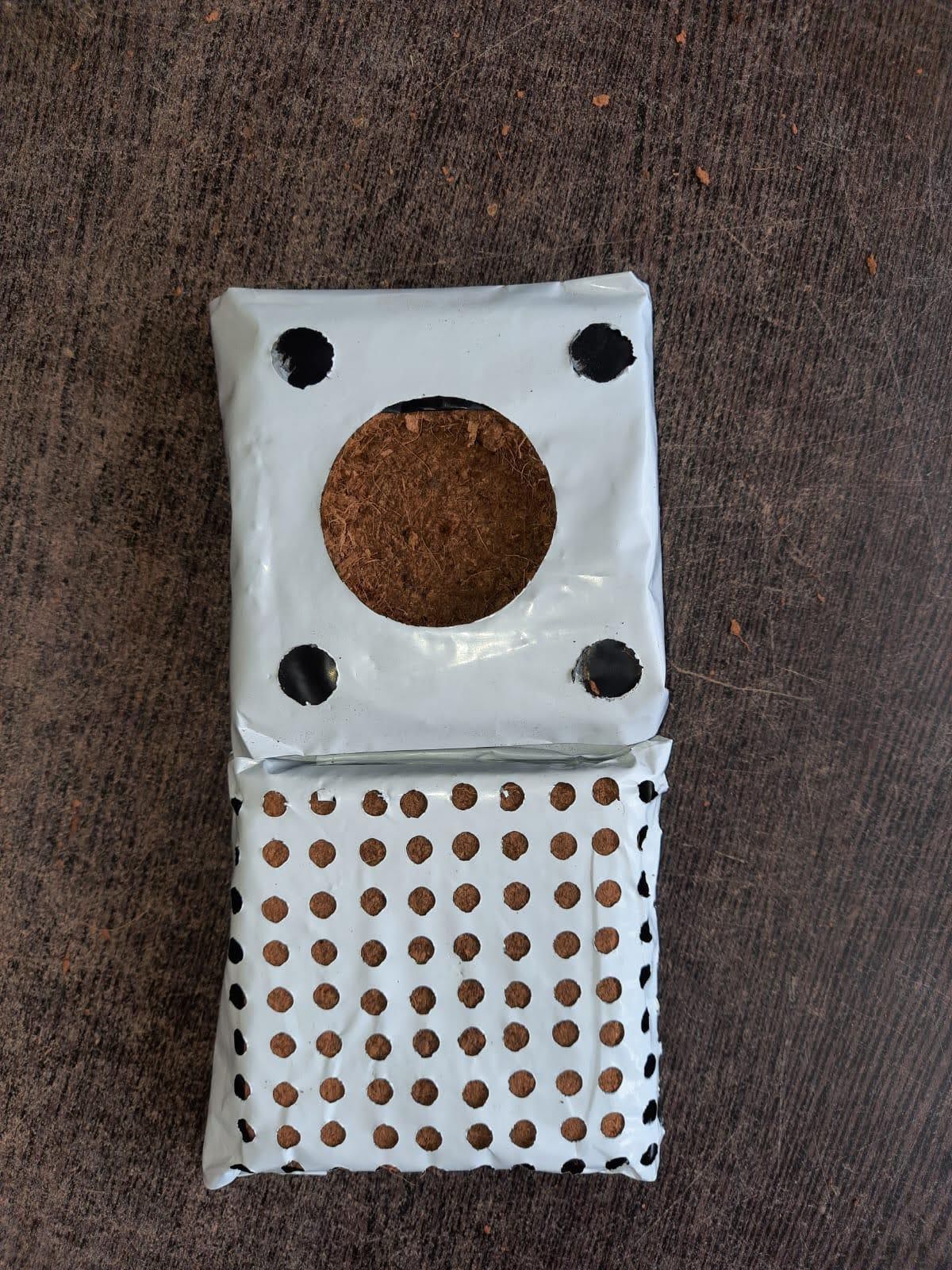 Coir Pith Blocks Stacked in Warehouse